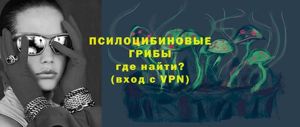 дживик Балахна