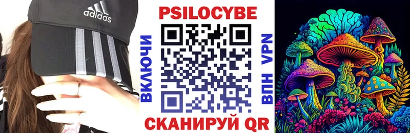 Галлюциногенные грибы Psilocybine cubensis купить наркотики сайты Куртамыш